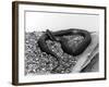A Snake-null-Framed Photographic Print