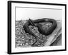 A Snake-null-Framed Photographic Print