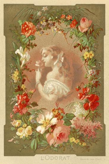 Art Print, , large