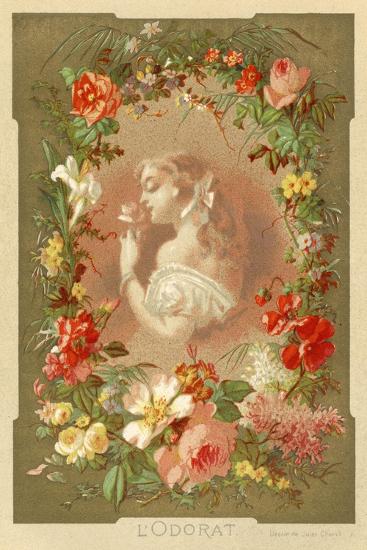 Art Print, , large