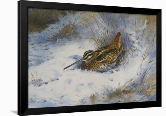 A Snipe in the Snow-Archibald Thorburn-Framed Giclee Print