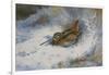 A Snipe in the Snow-Archibald Thorburn-Framed Giclee Print