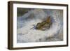 A Snipe in the Snow-Archibald Thorburn-Framed Giclee Print