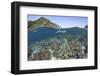 A Snorkeler Explores a Shallow Lagoon in Raja Ampat-Stocktrek Images-Framed Photographic Print