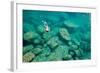 A Snorkeler Explores the Scenic Rock Formations of the Islands of Lake Malawi, Malawi, Africa.-SAPhotog-Framed Photographic Print