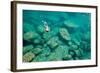 A Snorkeler Explores the Scenic Rock Formations of the Islands of Lake Malawi, Malawi, Africa.-SAPhotog-Framed Photographic Print