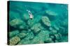 A Snorkeler Explores the Scenic Rock Formations of the Islands of Lake Malawi, Malawi, Africa.-SAPhotog-Stretched Canvas