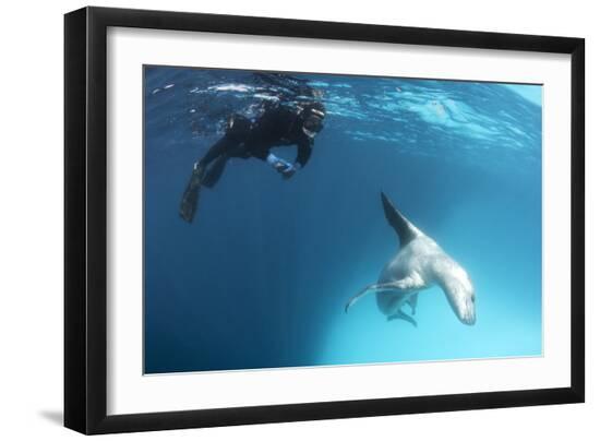 Premium Photographic Print, , large