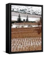 A Snow-Covered Vineyard is Seen During a Snowfall-null-Framed Stretched Canvas