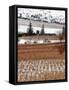 A Snow-Covered Vineyard is Seen During a Snowfall-null-Framed Stretched Canvas