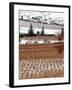 A Snow-Covered Vineyard is Seen During a Snowfall-null-Framed Photographic Print