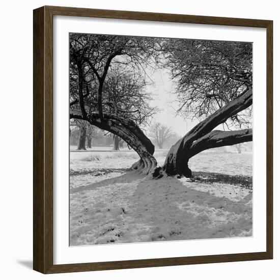 A Snow Scene in Richmond Park, Greater London-John Gay-Framed Premium Photographic Print