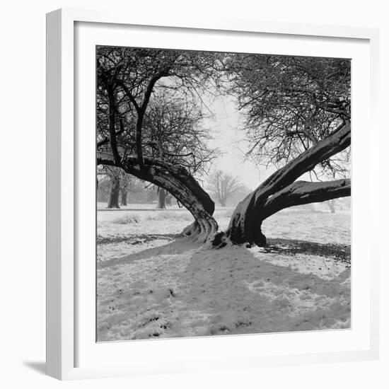 A Snow Scene in Richmond Park, Greater London-John Gay-Framed Premium Photographic Print