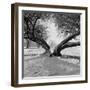 A Snow Scene in Richmond Park, Greater London-John Gay-Framed Premium Photographic Print