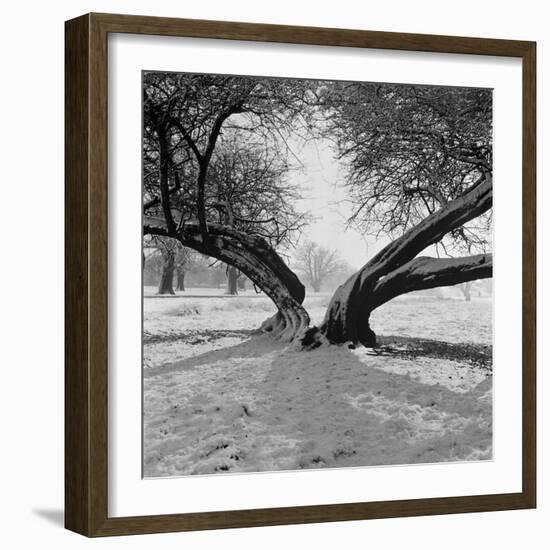 A Snow Scene in Richmond Park, Greater London-John Gay-Framed Photographic Print