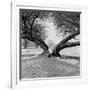 A Snow Scene in Richmond Park, Greater London-John Gay-Framed Photographic Print