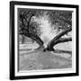 A Snow Scene in Richmond Park, Greater London-John Gay-Framed Photographic Print