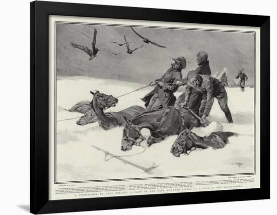 A Snowstorm in Cape Colony, a Camp of the Cape Mounted Rifles on a Spur of the Drakensberg-William T. Maud-Framed Giclee Print