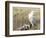 A Snowy Owl (Bubo Scandiacus) Sits on a Perch at Sunset, Damon Point, Ocean Shores, Washington, USA-Gary Luhm-Framed Photographic Print