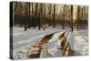 A Snowy Path at Tanglewood-Helen J. Vaughn-Stretched Canvas