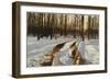 A Snowy Path at Tanglewood-Helen J. Vaughn-Framed Giclee Print