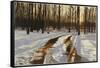 A Snowy Path at Tanglewood-Helen J. Vaughn-Framed Stretched Canvas