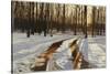 A Snowy Path at Tanglewood-Helen J. Vaughn-Stretched Canvas