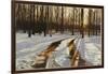 A Snowy Path at Tanglewood-Helen J. Vaughn-Framed Giclee Print