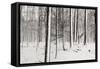 A Snowy Walk I-James McLoughlin-Framed Stretched Canvas