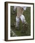 A Soccer Player's Muddy Cleats-null-Framed Photographic Print