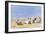 A Sociable Afternoon on the Beach-Frederik Hendrik Kaemmerer-Framed Giclee Print