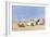 A Sociable Afternoon on the Beach-Frederik Hendrik Kaemmerer-Framed Giclee Print