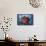 A Soft Coral Colony Grows on a Shipwreck Off the Island of Guadalcanal-Stocktrek Images-Framed Stretched Canvas displayed on a wall