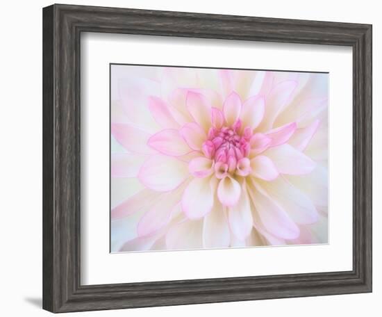 A soft touch of summer-Heidi Westum-Framed Photographic Print