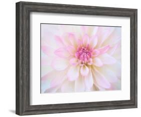 A soft touch of summer-Heidi Westum-Framed Photographic Print