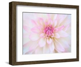 A soft touch of summer-Heidi Westum-Framed Photographic Print