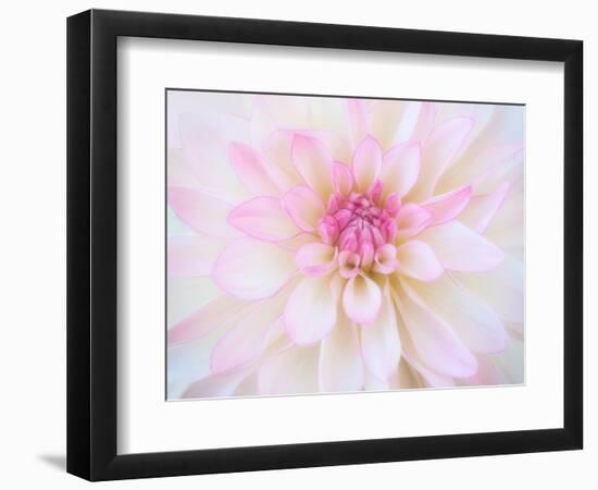 A soft touch of summer-Heidi Westum-Framed Photographic Print