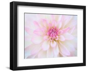 A soft touch of summer-Heidi Westum-Framed Photographic Print