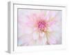 A soft touch of summer-Heidi Westum-Framed Photographic Print