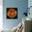 A Solar Flare Erupting on the Left Side of the Sun-null-Mounted Art Print displayed on a wall