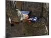 A Soldier Is Presented the American Flag And Certificate During a Ceremony-Stocktrek Images-Mounted Photographic Print