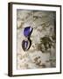 A Soldier Wears His Purple Heart on His Digital Camouflage Minutes after Being Awarded the Medal-Stocktrek Images-Framed Photographic Print