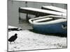 A Solitary Bird Walks Past a Boat Covered by Overnight Snow-null-Mounted Photographic Print