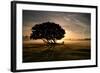 A Solitary Fallen Live Tree Under a Dramatic Sky on a Misty Morning-Alex Saberi-Framed Photographic Print