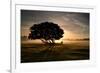 A Solitary Fallen Live Tree Under a Dramatic Sky on a Misty Morning-Alex Saberi-Framed Photographic Print
