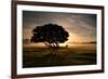 A Solitary Fallen Live Tree Under a Dramatic Sky on a Misty Morning-Alex Saberi-Framed Photographic Print