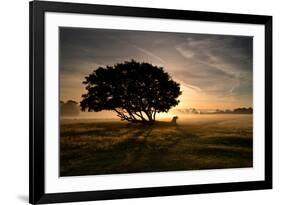 A Solitary Fallen Live Tree Under a Dramatic Sky on a Misty Morning-Alex Saberi-Framed Photographic Print