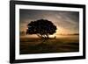 A Solitary Fallen Live Tree Under a Dramatic Sky on a Misty Morning-Alex Saberi-Framed Photographic Print