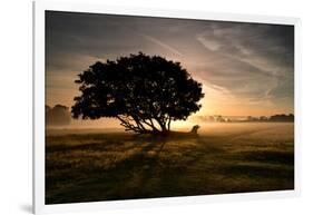 A Solitary Fallen Live Tree Under a Dramatic Sky on a Misty Morning-Alex Saberi-Framed Photographic Print
