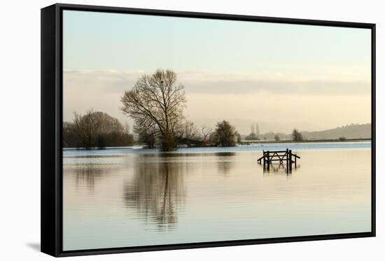 A Solitary Gate in Calm Flood-Waters in Farmland on West Sedgemoor, Near Stoke St Gregory-John Waters-Framed Stretched Canvas